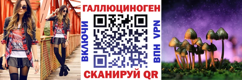 Псилоцибиновые грибы мицелий  Купить закладки  Змеиногорск 